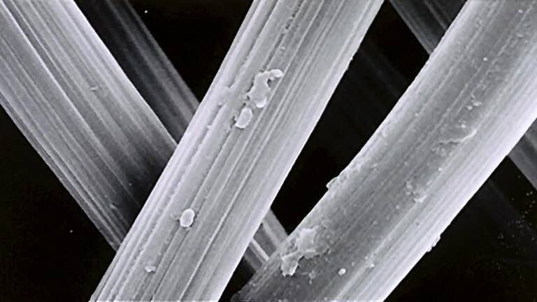bacteria air filter kills e-coli